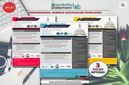 Business Capability Statement Template